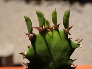 PB010627a.jpg